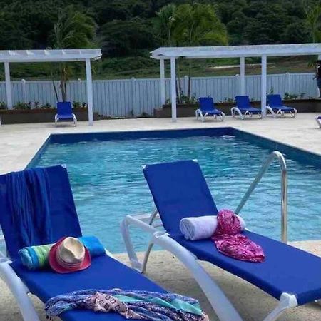 Natty'S Cozy Beach House In Hanover Jamaica Lucea Eksteriør billede