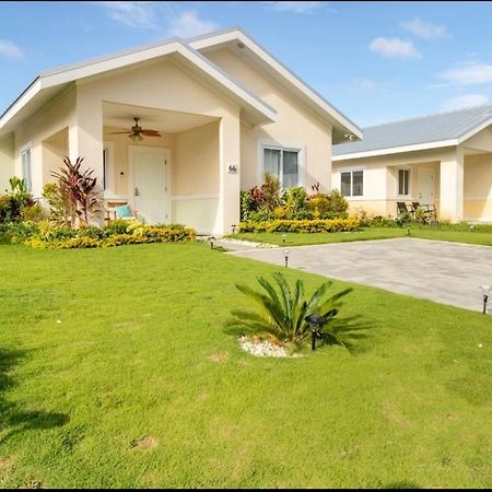 Natty'S Cozy Beach House In Hanover Jamaica Lucea Eksteriør billede