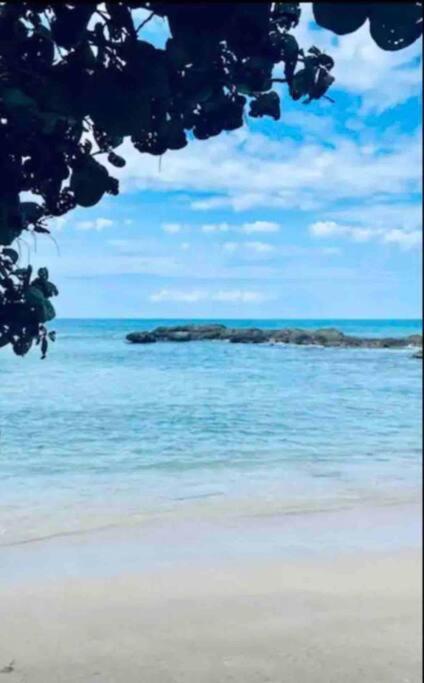 Natty'S Cozy Beach House In Hanover Jamaica Lucea Eksteriør billede