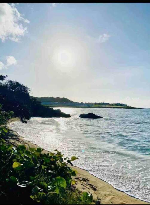 Natty'S Cozy Beach House In Hanover Jamaica Lucea Eksteriør billede